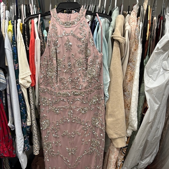 Adrianna Papell Blush Embellished Gown - Picture 2 of 6
